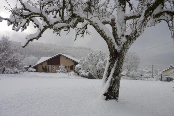 Entre Lac Et Pistes Gérardmer Exterior foto